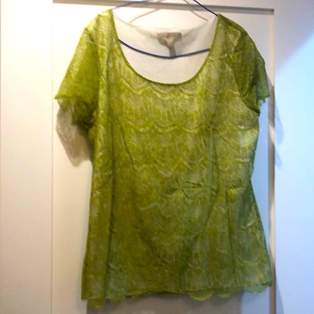 🥳Like new! Banana Republic green lace shirt sleeved top. Size L